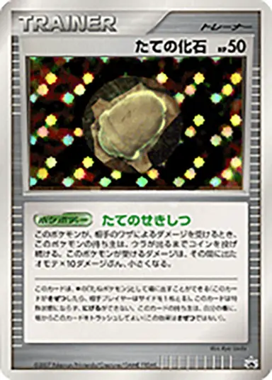 たての化石 DP-P （バトルロード スプリング★2007）